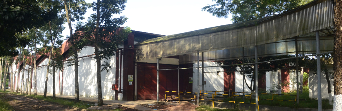 Professional Cleaning $ Construction Service Company Dhaka Bangladesh